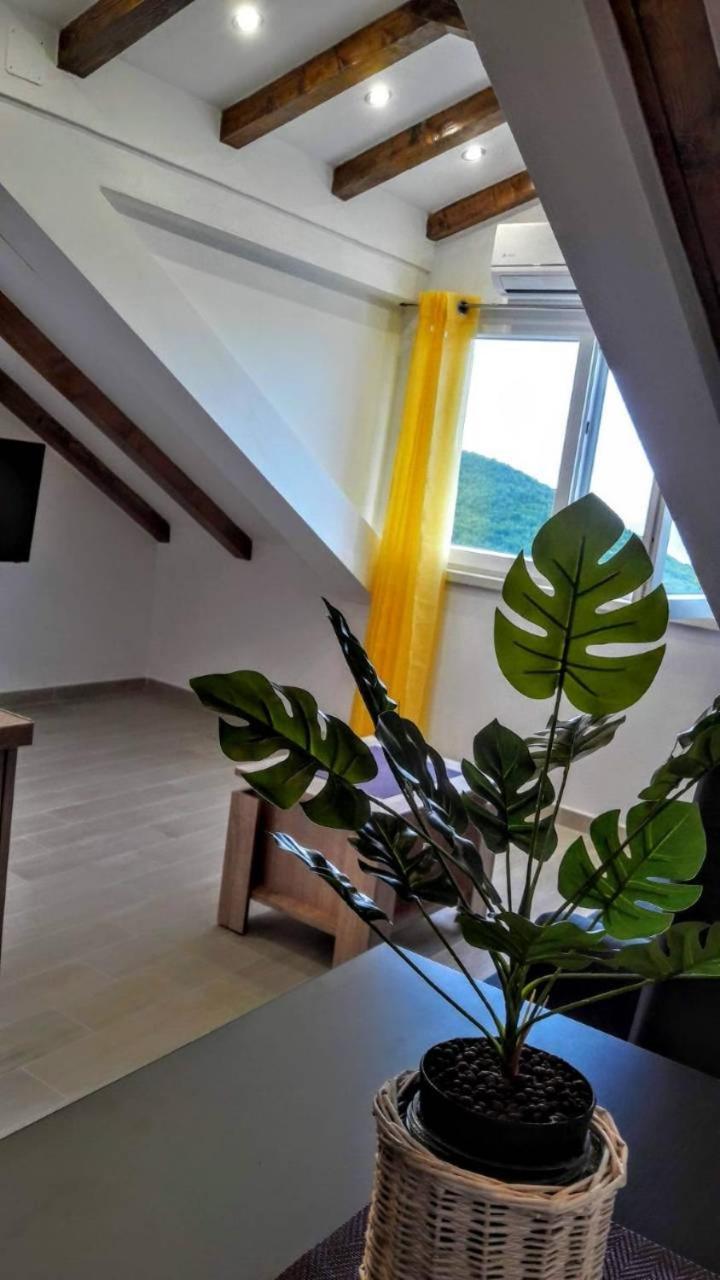 Holiday Apartments Maslina Paho Babino Polje Exterior photo